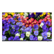 Monitor ultra-slim LED, 4K UHD, 43'', HDMI, DP, Audio 2x5W - UNV MW3243-F-V